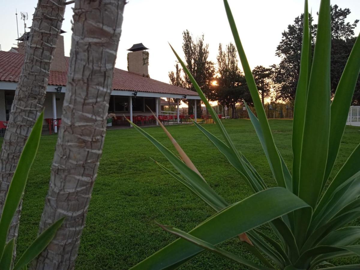 Bungalows Zaragoza Camping Exterior photo