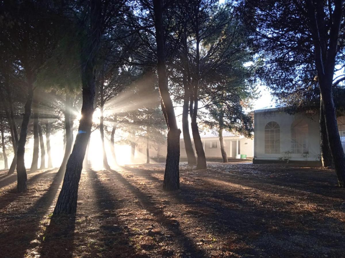 Bungalows Zaragoza Camping Exterior photo