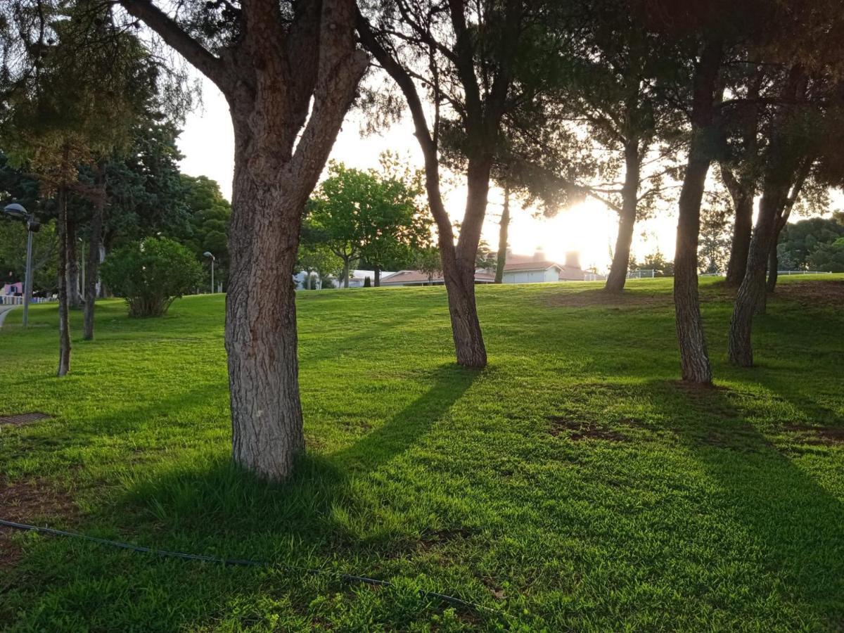 Bungalows Zaragoza Camping Exterior photo